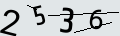 verifycode